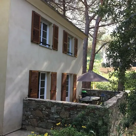 Holiday home L'alivu - A Torra *