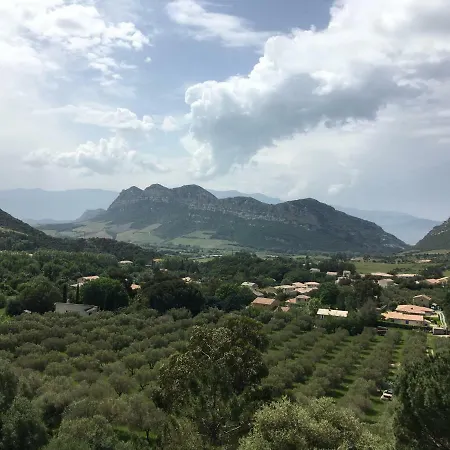 Holiday home L'alivu - A Torra *
