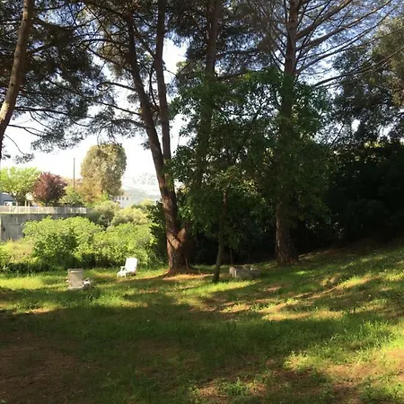 Holiday home L'alivu - A Torra